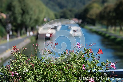 French geraniums on the bridge railing Lutzelbourg in the autumn sun with out of focus in the background pleasure boats in the Mar Editorial Stock Photo