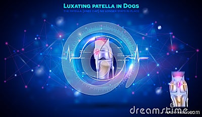 Luxating patella in dogs Vector Illustration