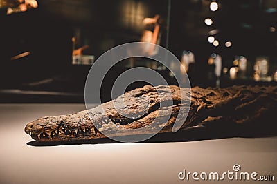 Ancient Egyptian Exhibits of the archaeological Mummification Museum in Upper Egypt Editorial Stock Photo