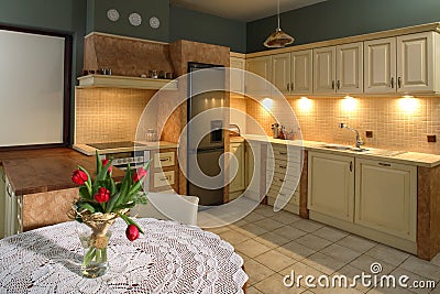 Luxurious Kitchen Stock Photo