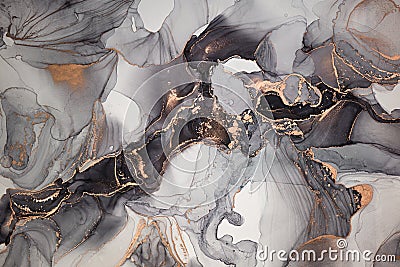 High resolution. Luxury abstract fluid art painting in alcohol ink technique, mixture of gray, black gold paints. Stock Photo