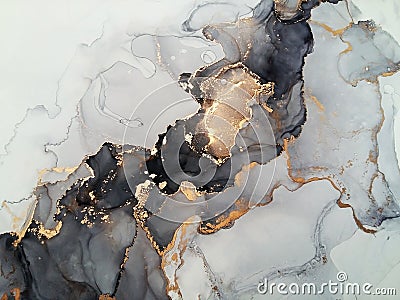 Luxury abstract fluid art painting background alcohol ink technique black shades of gray and gold. Rough edges of paint flow out Stock Photo