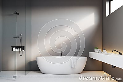 Luxury bathroom with gray walls and shower Stock Photo