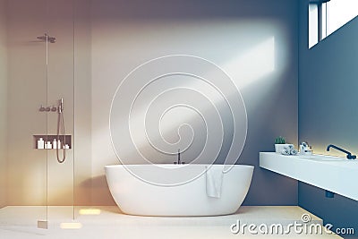 Luxury bathroom with gray walls, shower, toned Stock Photo