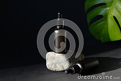 Luxury cosmetics set of black dropper bottles and tropical green leaf on dark background. Stock Photo