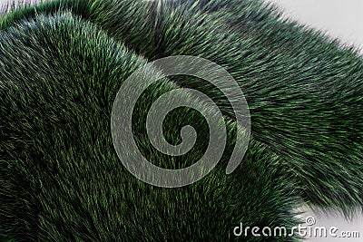 Luxury and elegant fluffy clothes. Dyed furry coat in green color, close up. Stock Photo