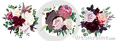 Luxury fall flowers vector bouquets. Vector Illustration