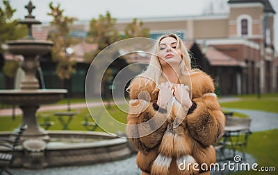 Luxury fur coat concept. Woman in furs Stock Photo