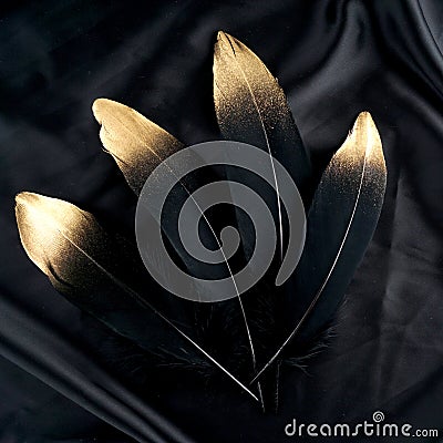 Luxury gilded gold golden black swan feather on silk cloth background Stock Photo