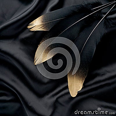 Luxury gilded gold golden black swan feather on silk cloth background Stock Photo
