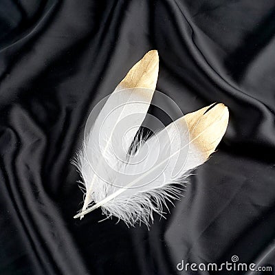 Luxury gilded gold golden white swan feather on black silk cloth background Stock Photo