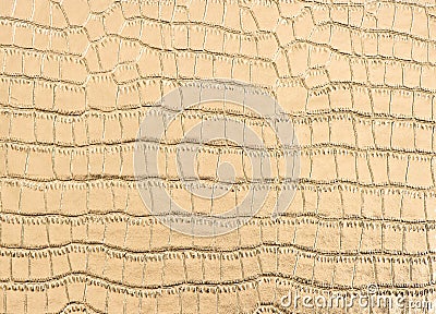 Luxury golden crocodile leather background Stock Photo