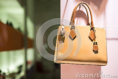 Luxury handbag in store Stock Photo