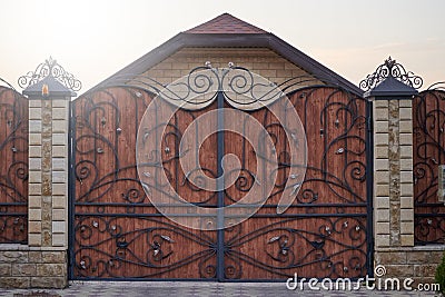 Luxury metal wrought gates with decorative elements Stock Photo