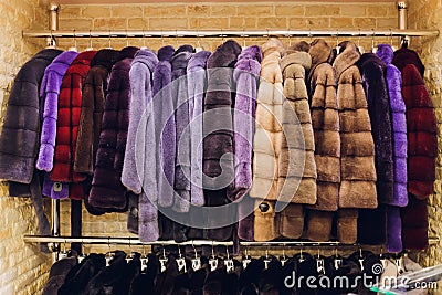 Luxury mink coats. Grey, brown, pearl color fur coats on showcase of market. Best gift for women is mink coat. Outerwear Stock Photo