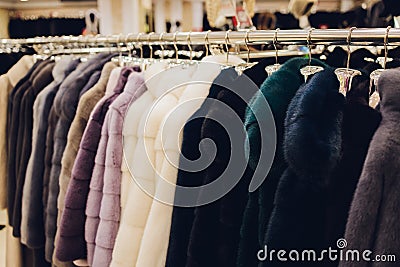 Luxury mink coats. Grey, brown, pearl color fur coats on showcase of market. Best gift for women is mink coat. Outerwear Stock Photo
