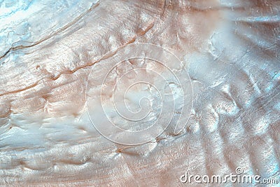 Luxury nacre seashell background texture Stock Photo