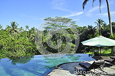 Luxury retreat spa swimming pool in the middle of the tropical forrest Stock Photo