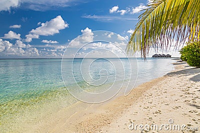 Luxury vacation. Summer beach in Maldives island, palm leaf and water villas. Amazing scenery, sea and white sand under blue sky Stock Photo