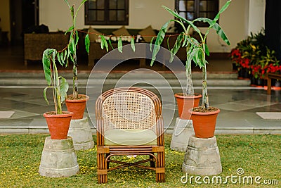 Luxury vintage armchair in front of the house surrounded by four potted plants Stock Photo