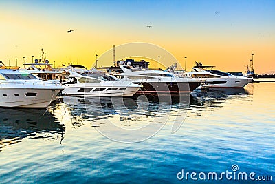 Luxury yachts docked in sea port at sunset. Marine parking of modern motor boats and blue water. Stock Photo