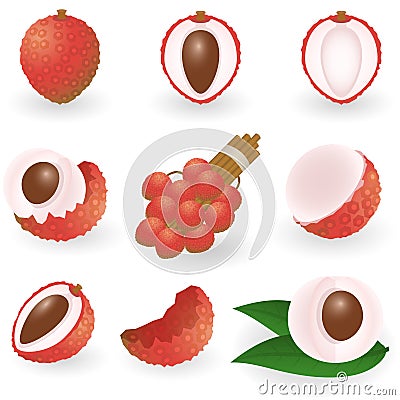 Lychee Vector Illustration