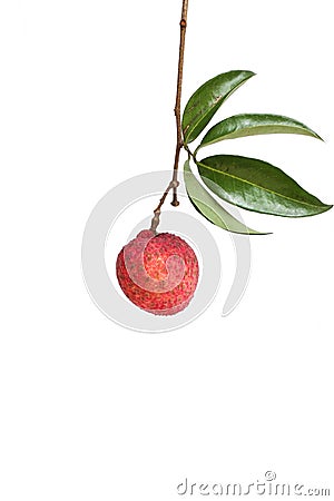 Lychee fruit Stock Photo