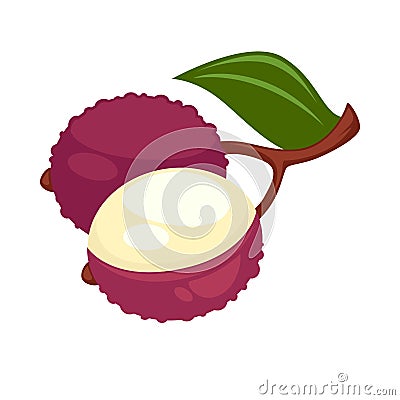 Lychee or lichee exotic tropical fruit flat vector icon Vector Illustration
