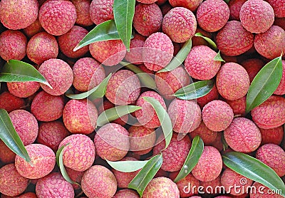 Lychees Stock Photo