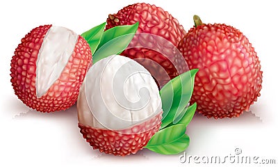 Lychees and peeled lychee Vector Illustration