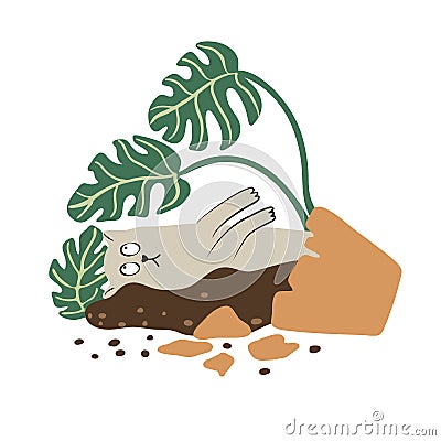 Lying cat and broken monstera houseplant pot. Vector Illustration