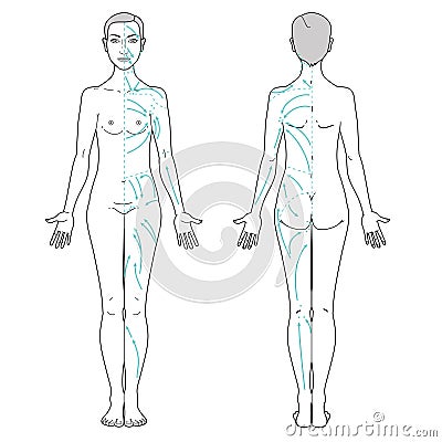 Lymphatic Massage Vector Illustration