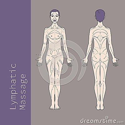 Lymphatic Massage Vector Illustration