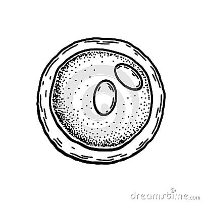 Lymphoblast blood cell isolated on white background. Hand drawn scientific microbiology vector illustration in sketch style Vector Illustration
