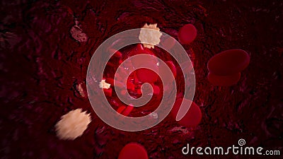 Lymphocytes And Red Blood Cells Flowing Through Blood Vessel. Stock Photo