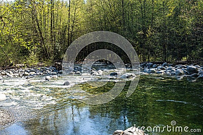 Lynn Creek in Lynn Canyon Park, 30 Foot Pool. North Vancouver Stock Photo
