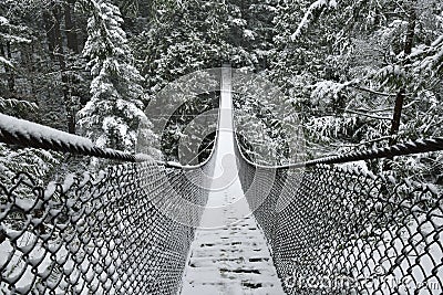Lynn Valley Park on snowy day Stock Photo