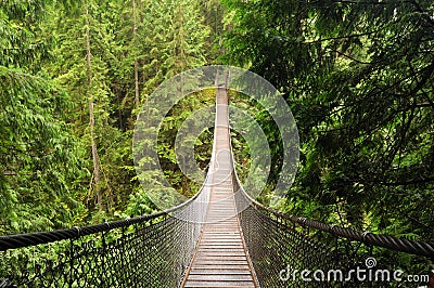 Lynn valley suspension bridge Stock Photo