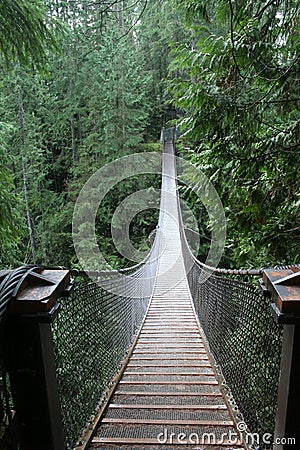 Lynn Valley suspension bridge Stock Photo