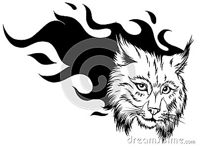 Lynx animal face. Vector Eurasian lynx cat head portrait. Vector Illustration