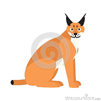 Lynx or bobcat isolated on white background. Stunning exotic predatory animal with furry coat. Gorgeous carnivorous Vector Illustration