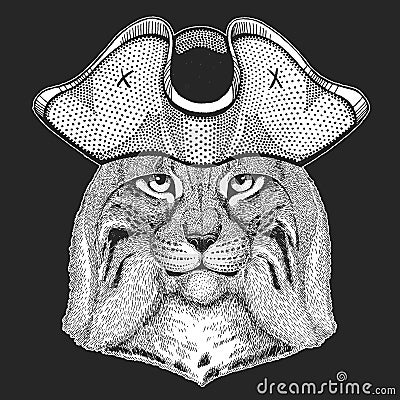 Lynx, bobcat, trot portrait. Pirate cocked hat. Sailor. Head of wild cat. Animal face. Vector Illustration