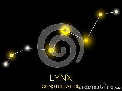 Lynx constellation. Bright yellow stars in the night sky. A cluster of stars in deep space, the universe. Vector illustration Vector Illustration