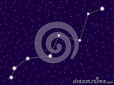 Lynx constellation. Starry night sky. Cluster of stars and galaxies. Deep space. Vector Vector Illustration