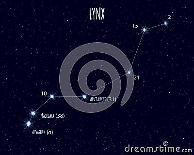 Lynx constellation, vector illustration with the names of basic stars Vector Illustration