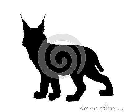 Lynx vector silhouette illustration isolated on white background. Bobcat silhouette. Vector Illustration