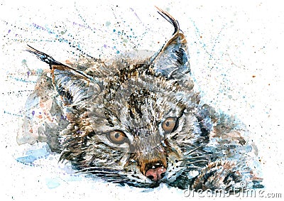 Lynx watercolor predator animals wildlife painting Stock Photo