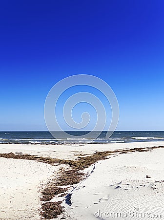 Glenelg Beach with seaweed dry sand Stock Photo