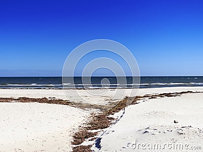 Glenelg Beach with seaweed dry sand Stock Photo