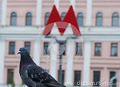 M-symbol of the underground metro and pigeon Editorial Stock Photo